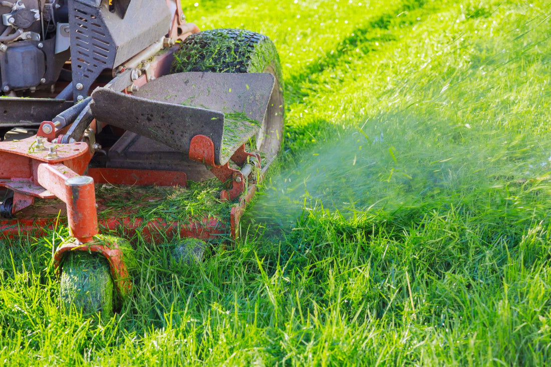How to Find Your Mower's Model Number