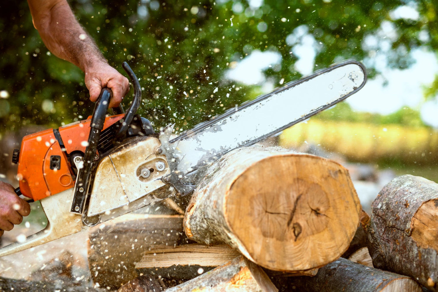 Chainsaw Bars