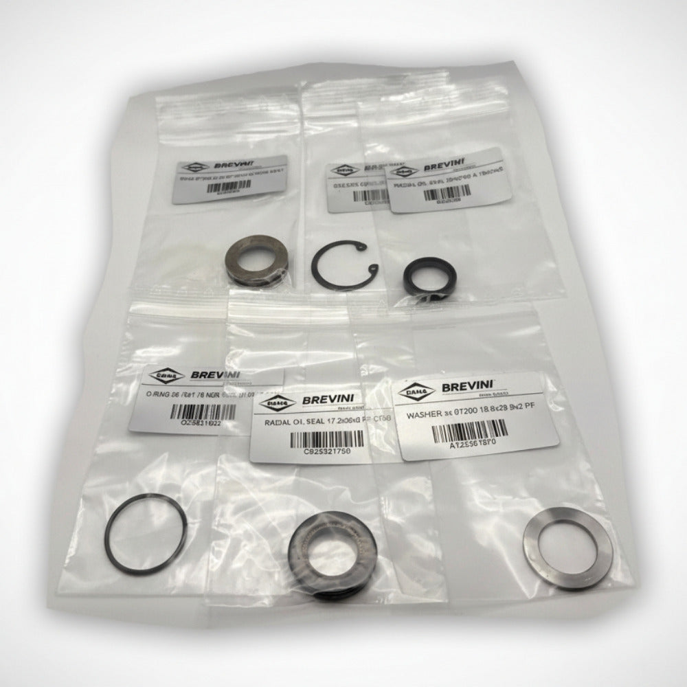 Japa Saw Motor Seal Kit (For Brevini Saw Motor 97862) (50064827)