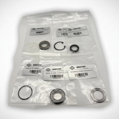Japa Saw Motor Seal Kit (For Brevini Saw Motor 97862) (50064827)