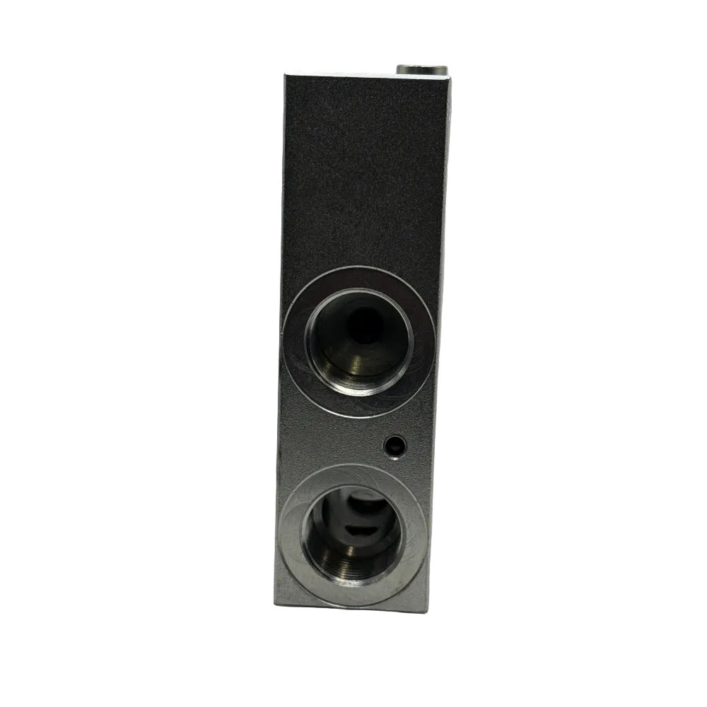 Japa Speeding Valve Assembly (96321 or 97949)