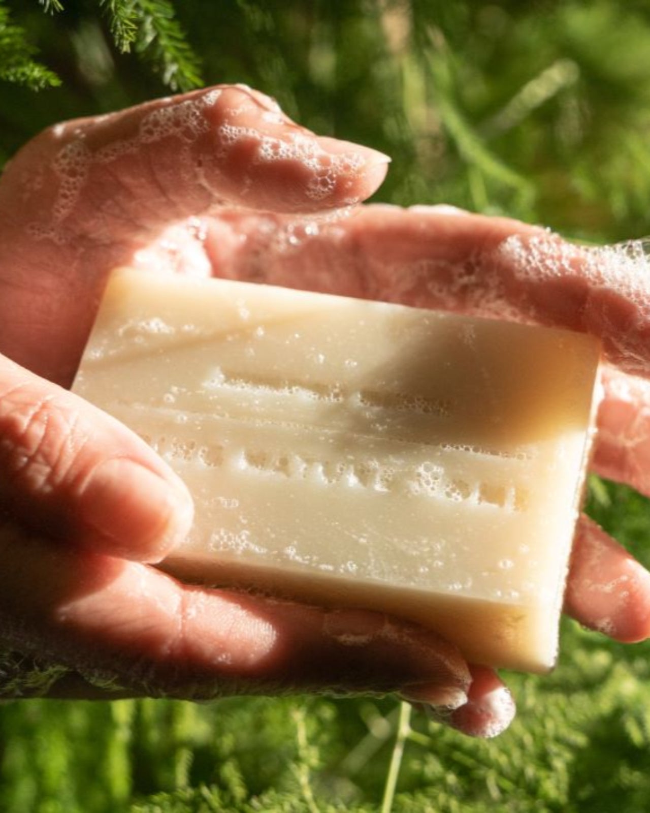 Redwood Mist Bar Soap 3-Pack