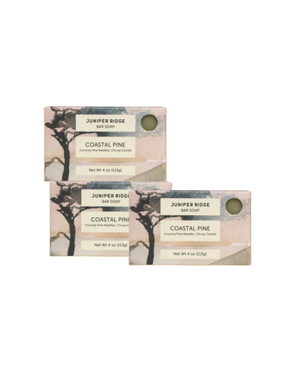Coastal Pine Bar Soap 3-Pack