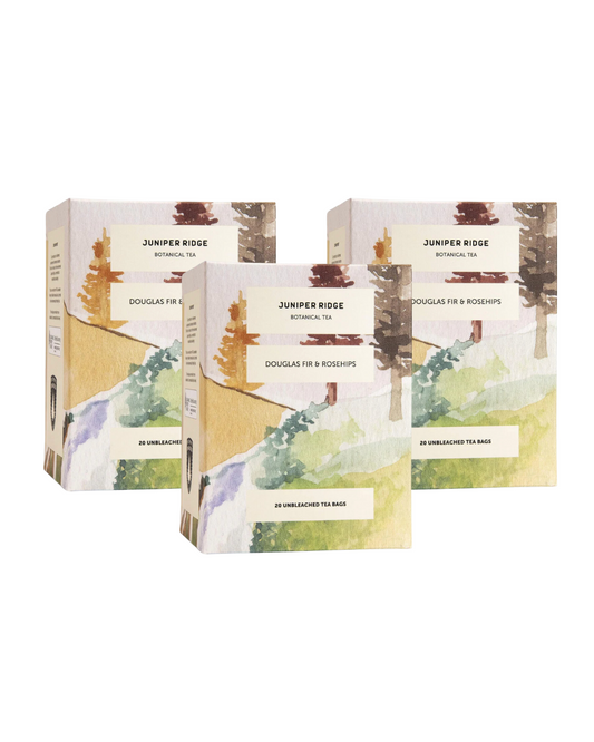 Douglas Fir + Rosehips Botanical Tea 3-Pack