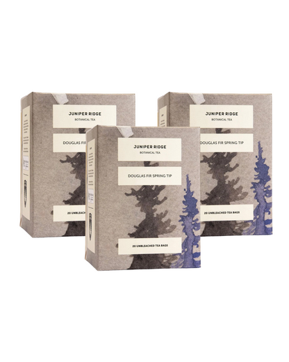 Douglas Fir Spring Tip Botanical Tea 3-Pack