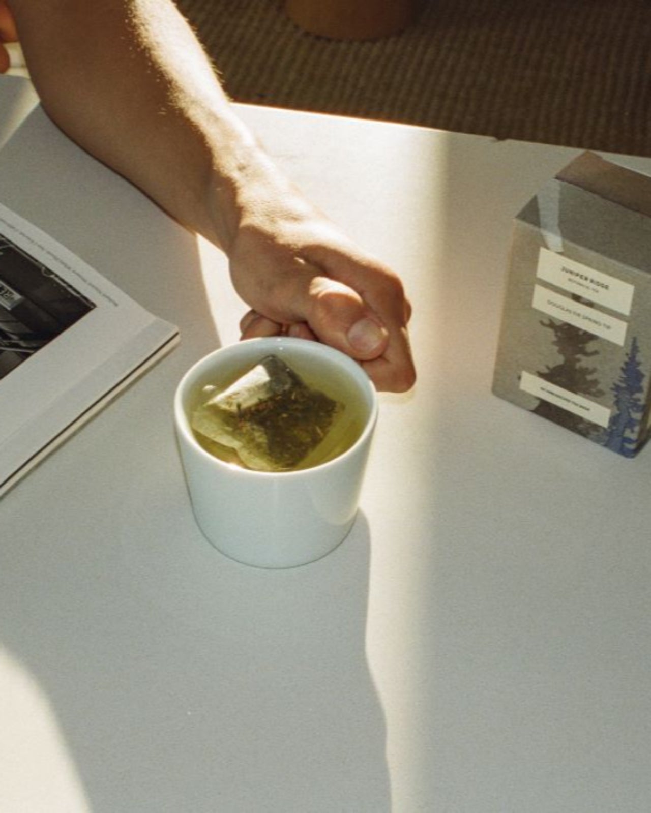 Douglas Fir Spring Tip Botanical Tea 3-Pack